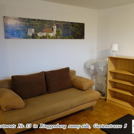 Schwizi'S Apartments リングゲンベルク エクステリア 写真