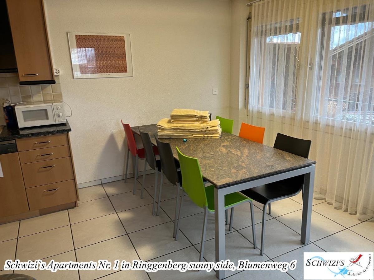 Schwizi'S Apartments リングゲンベルク エクステリア 写真