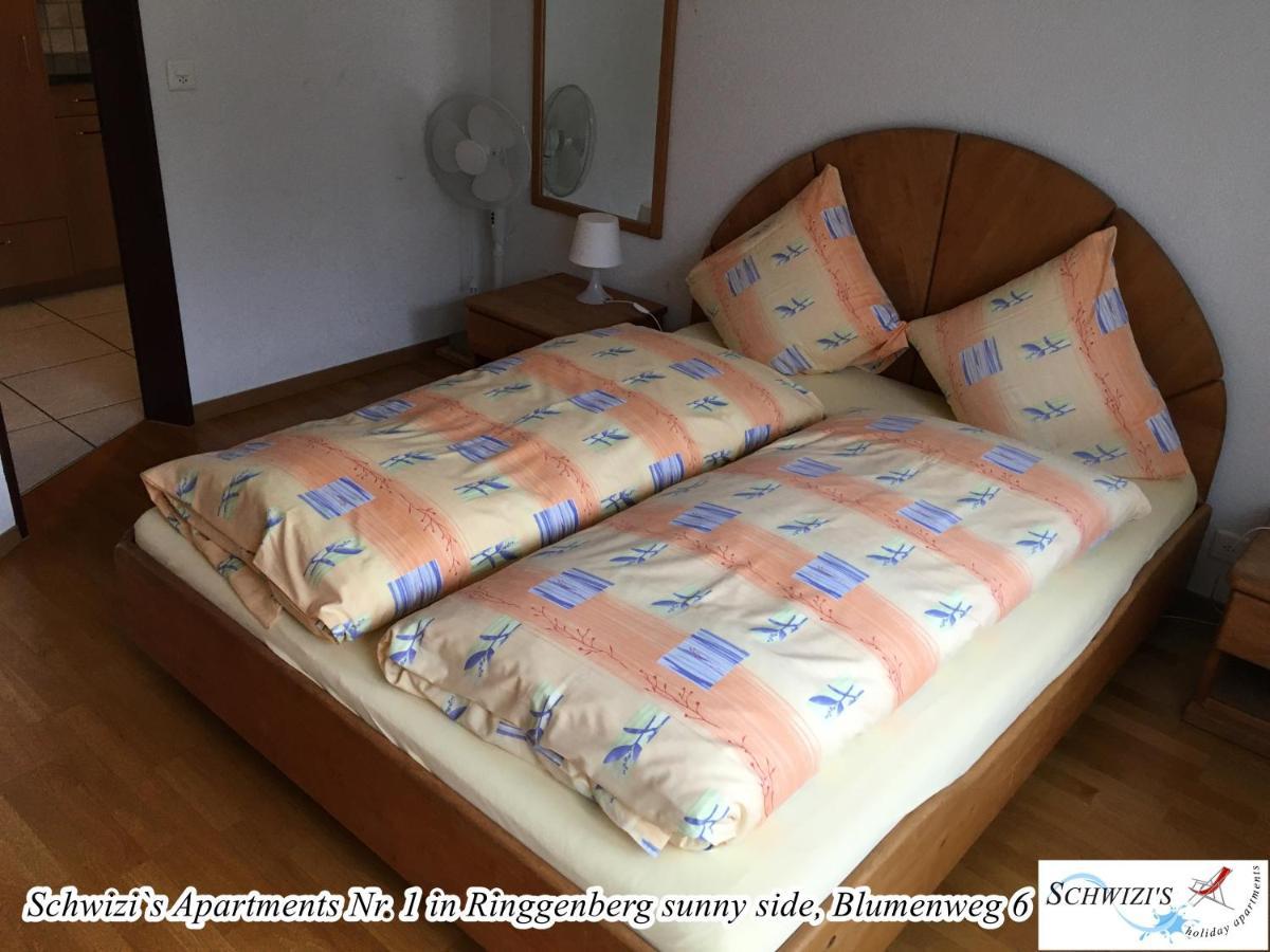 Schwizi'S Apartments リングゲンベルク エクステリア 写真