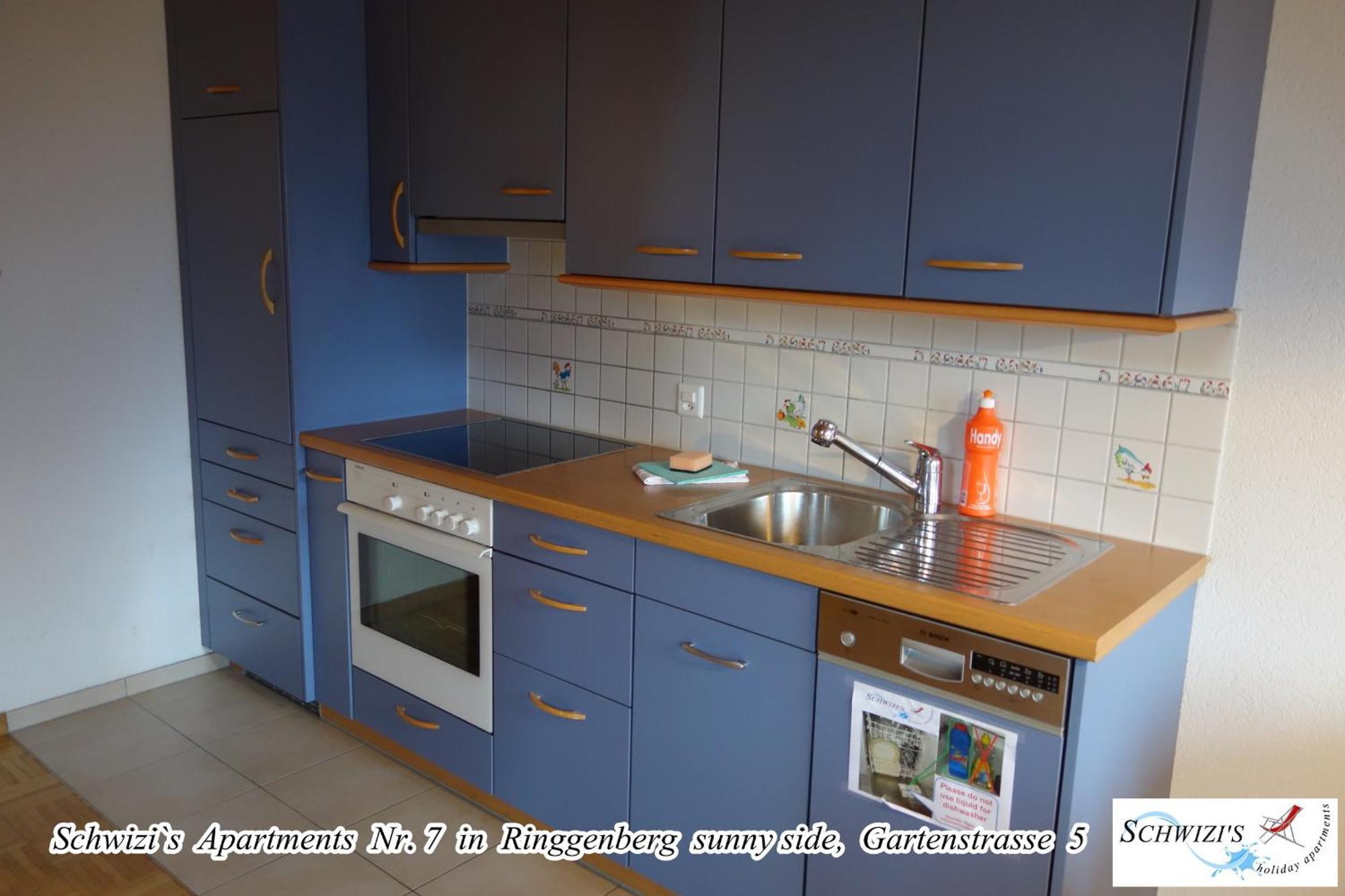 Schwizi'S Apartments リングゲンベルク エクステリア 写真