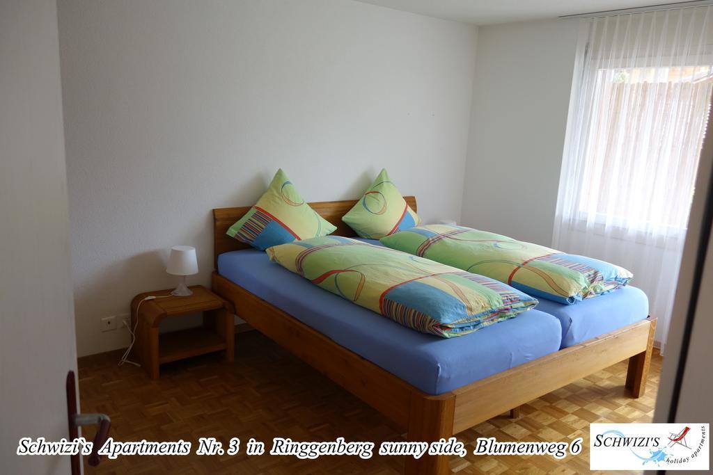 Schwizi'S Apartments リングゲンベルク 部屋 写真